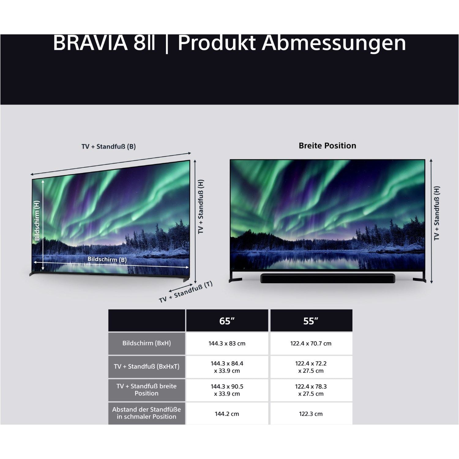 BRAVIA 8M2 K - 55XR8M25BP - HiFi - Profis Darmstadt
