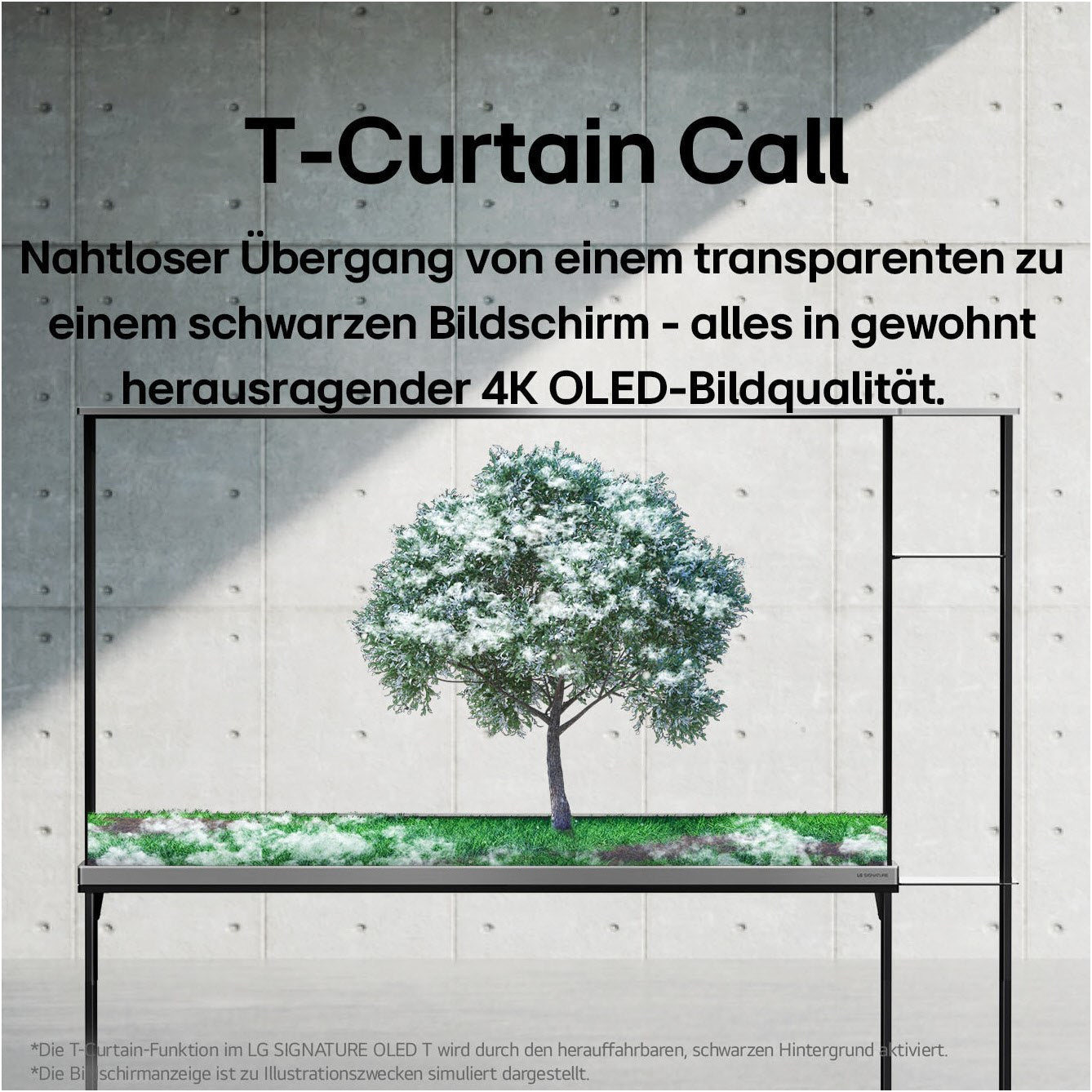 OLED77T49LA - HiFi - Profis Darmstadt