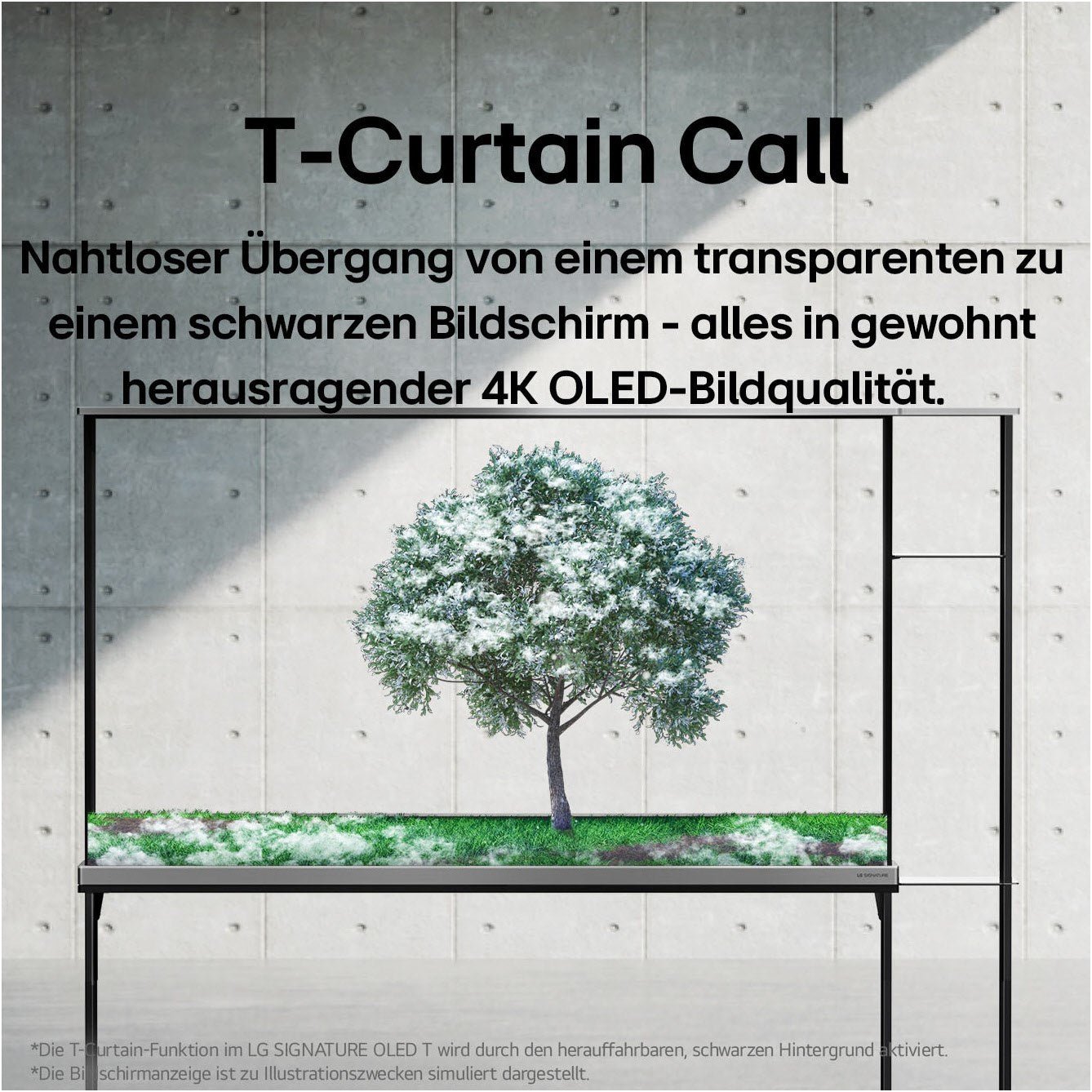 OLED77T49LA - HiFi - Profis Darmstadt