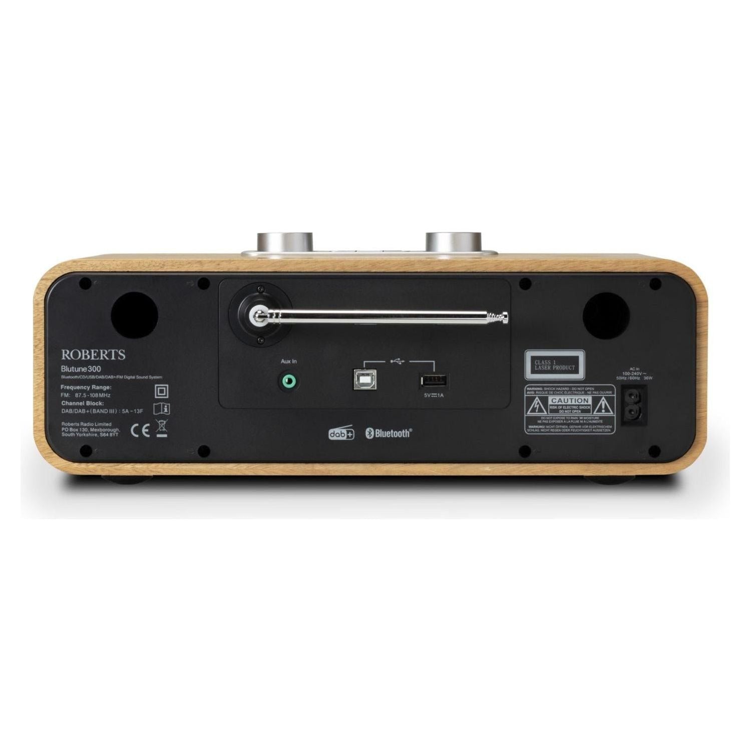 Roberts Blutune 300 - HiFi-Profis Darmstadt