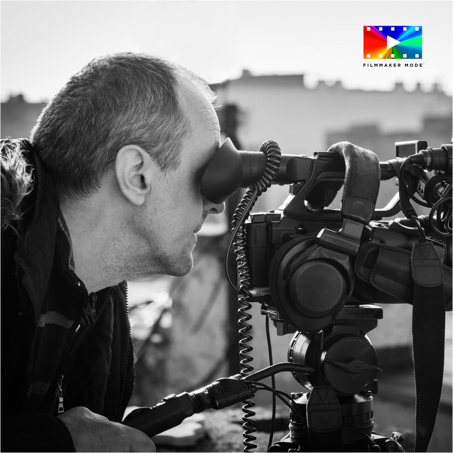 TV - 48Z90BE8 - HiFi - Profis Darmstadt