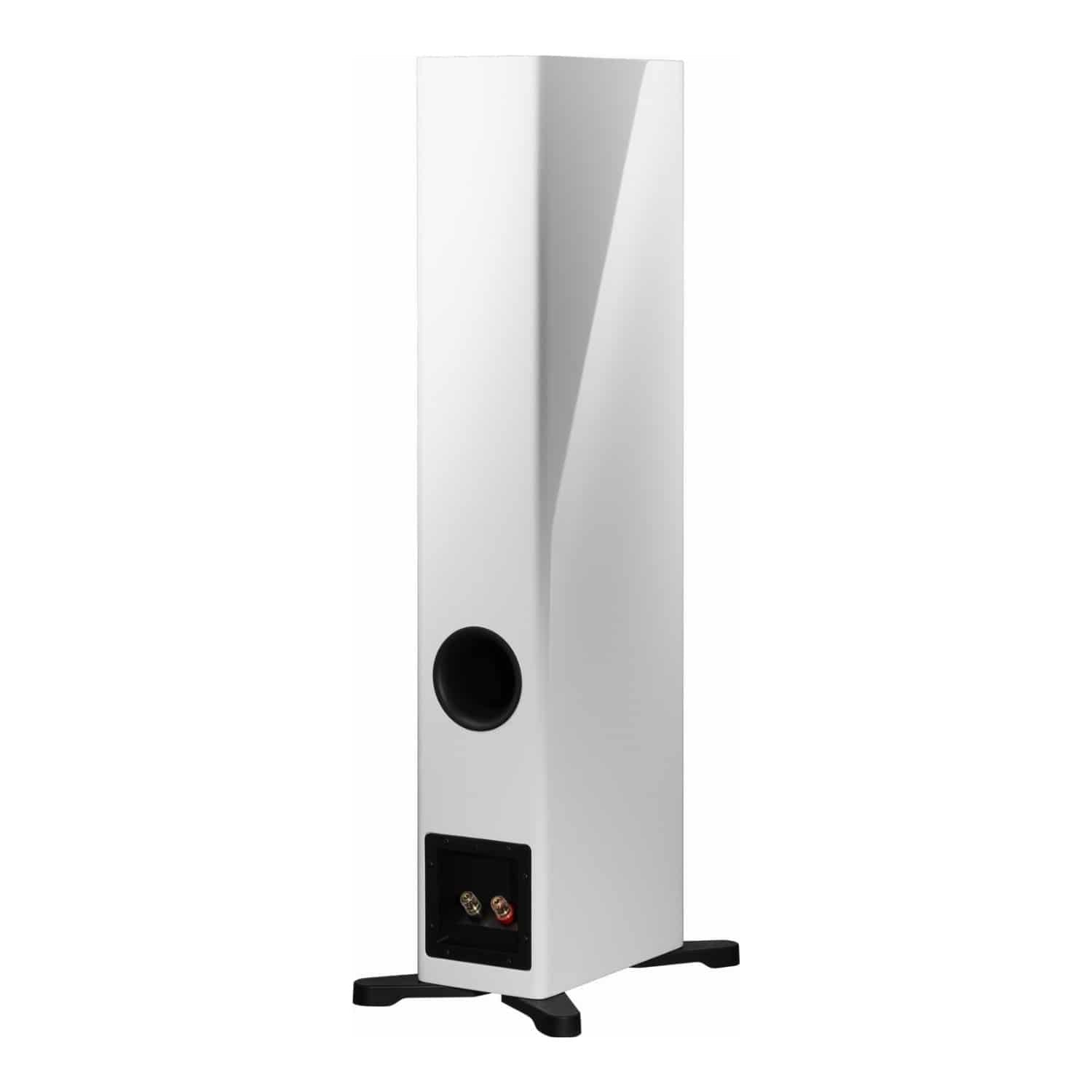 Dynaudio Evoke 30 - HiFi-Profis Darmstadt