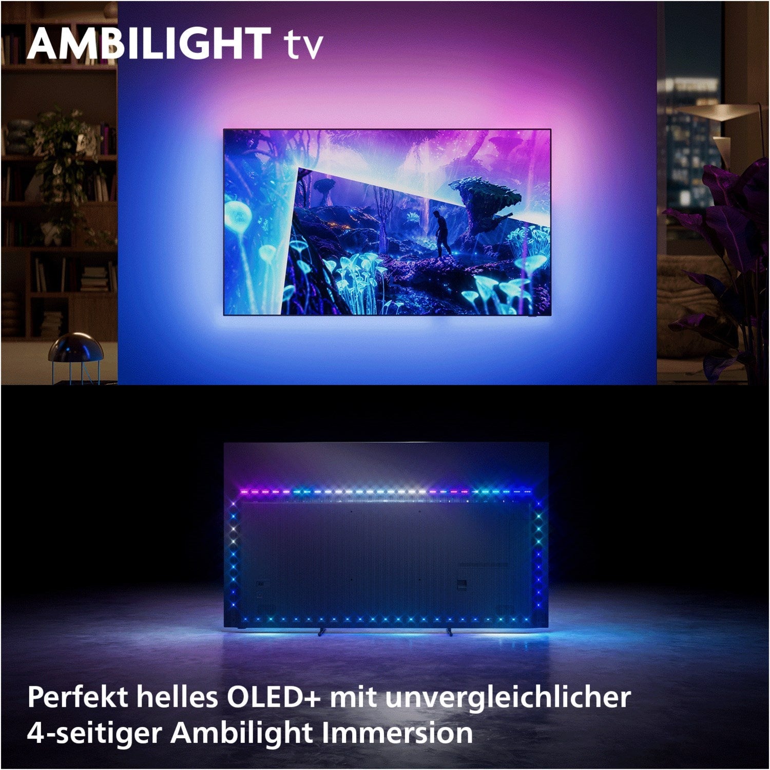 65OLED951/12 - HiFi-Profis Darmstadt