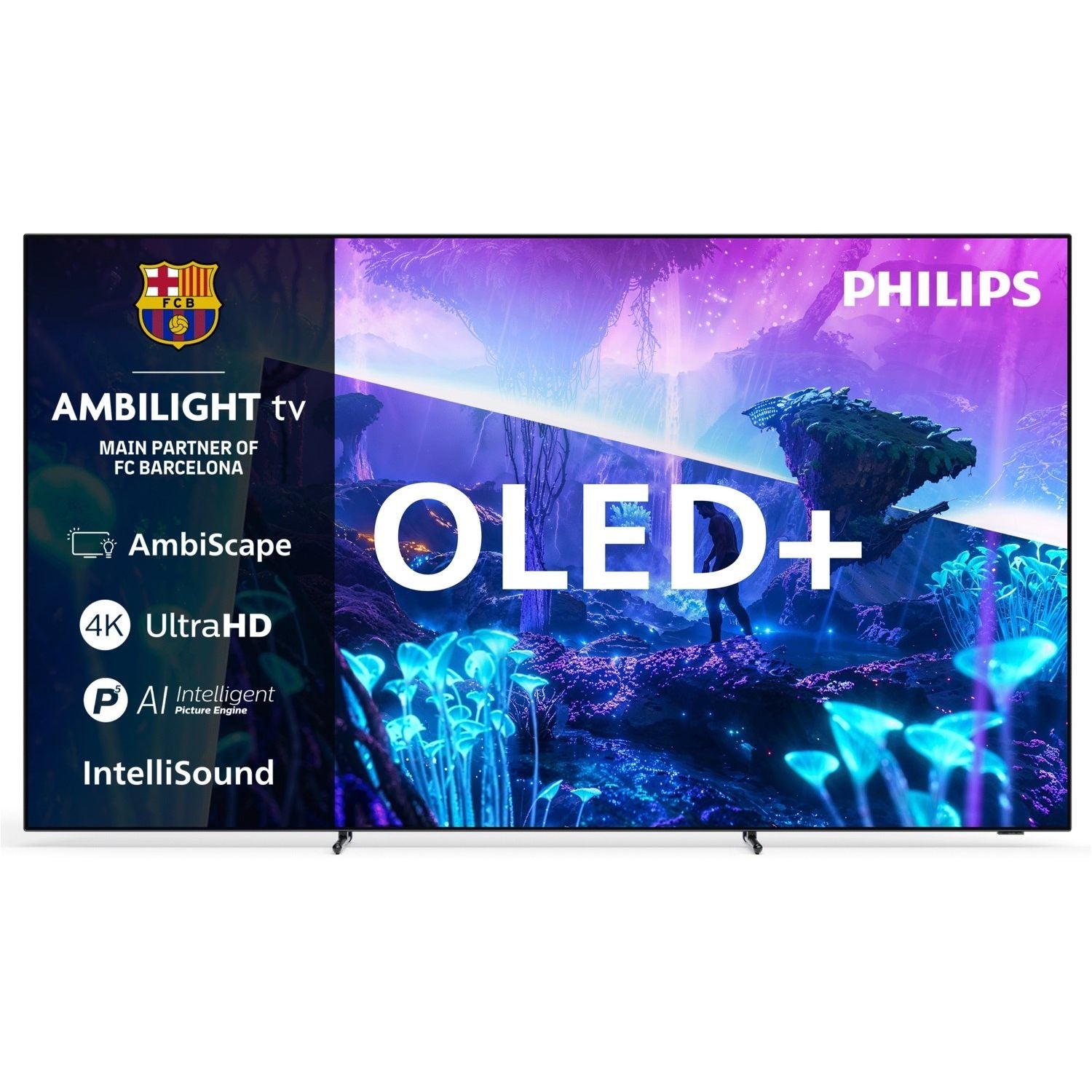 77OLED951/12 - HiFi-Profis Darmstadt