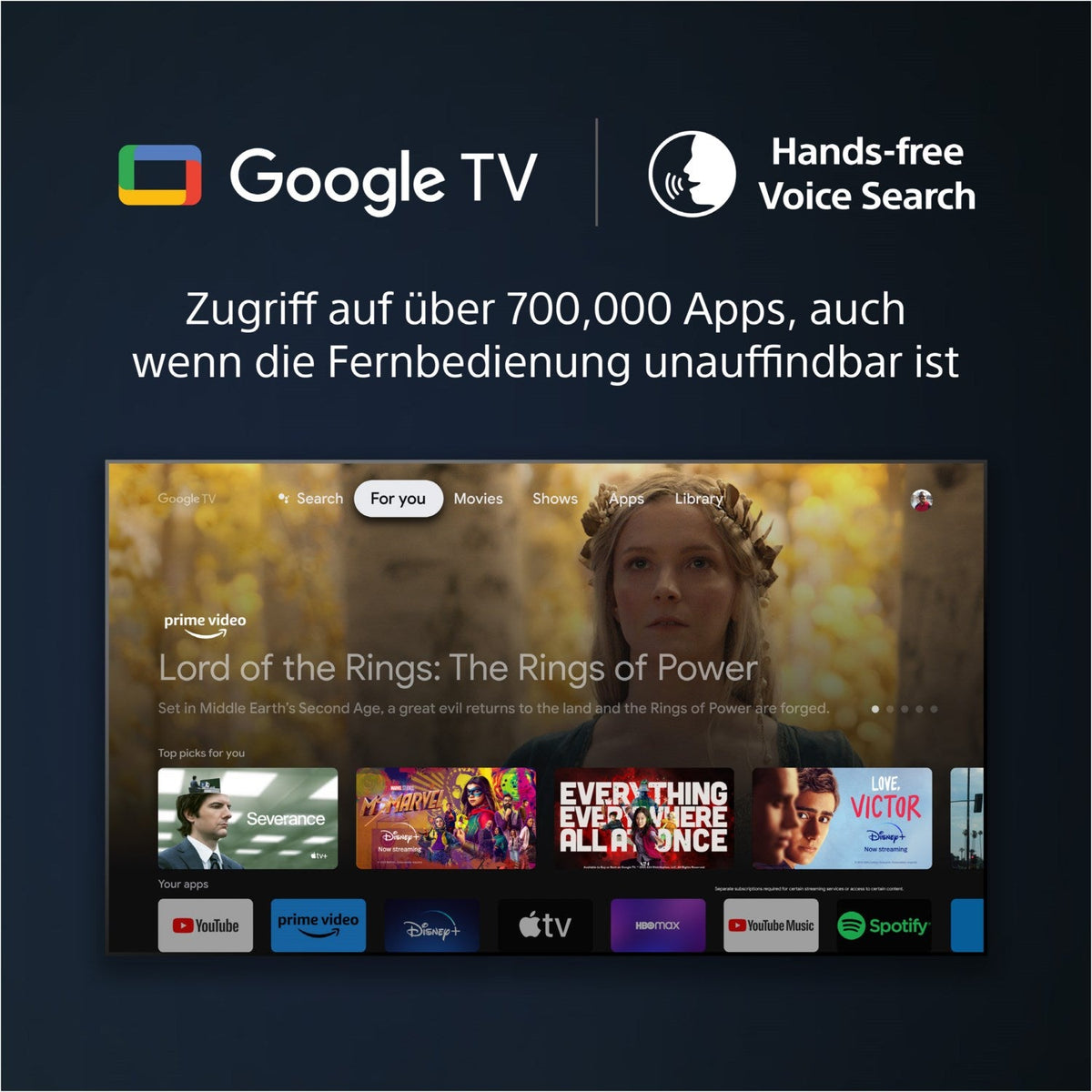 Sony XR85X95L - 85' -215cm