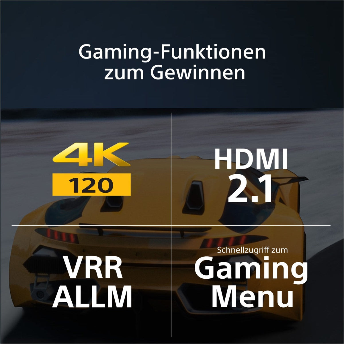 Sony XR85X95L - 85' -215cm