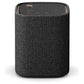 TrueX Speaker 1A