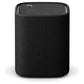 TrueX Speaker 1A