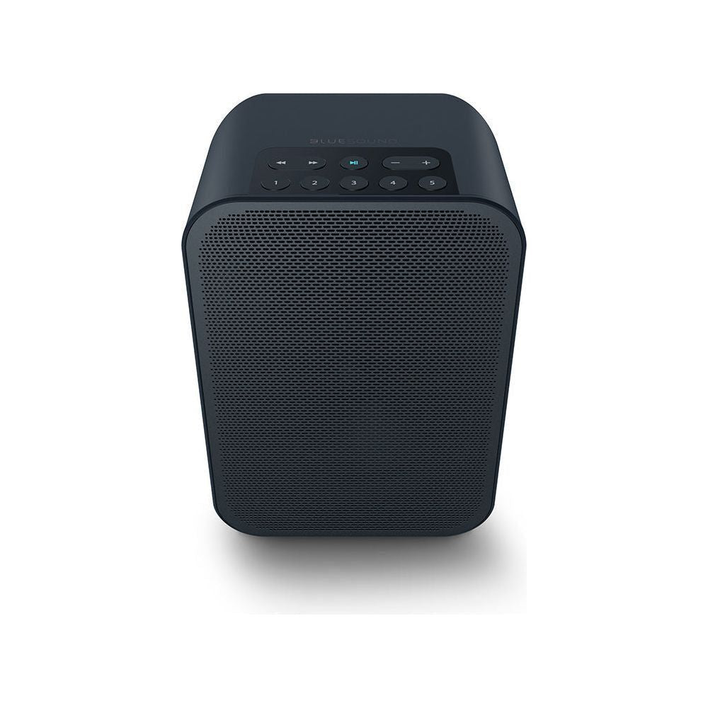 Bluesound Pulse Flex 2i - HiFi - Profis Darmstadt