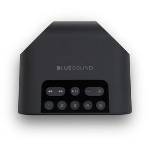 Bluesound Pulse Flex 2i - HiFi - Profis Darmstadt