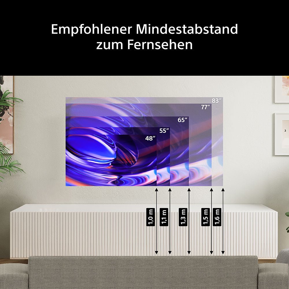 BRAVIA 6 K-48A69PB - HiFi-Profis Darmstadt