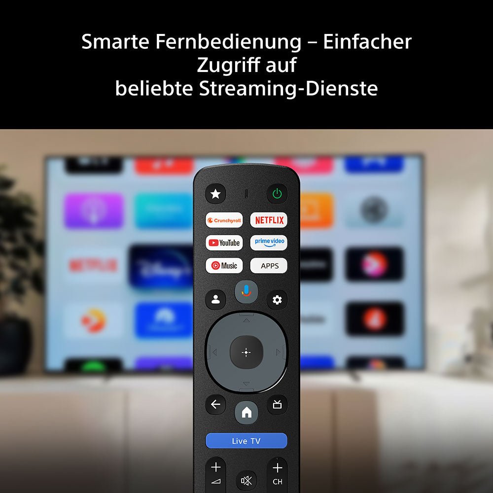 BRAVIA 6 K-48A69PB - HiFi-Profis Darmstadt