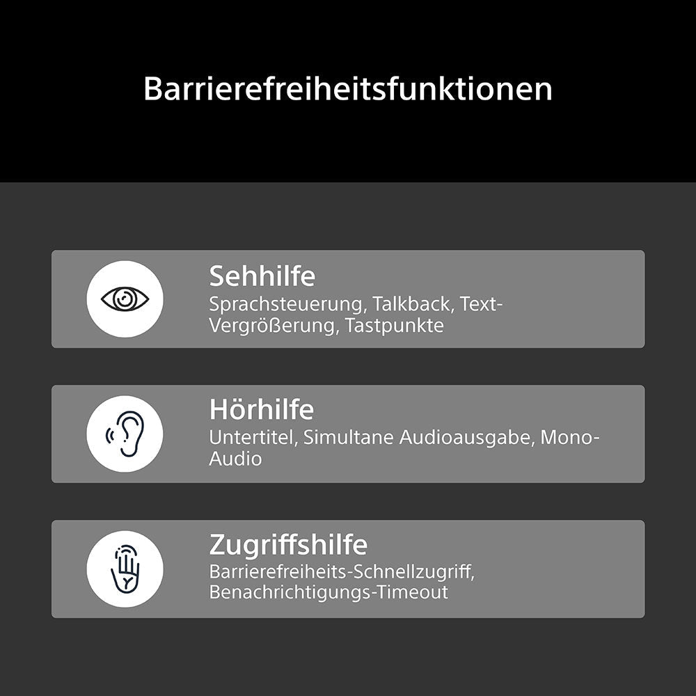 BRAVIA 6 K-48A69PB - HiFi-Profis Darmstadt