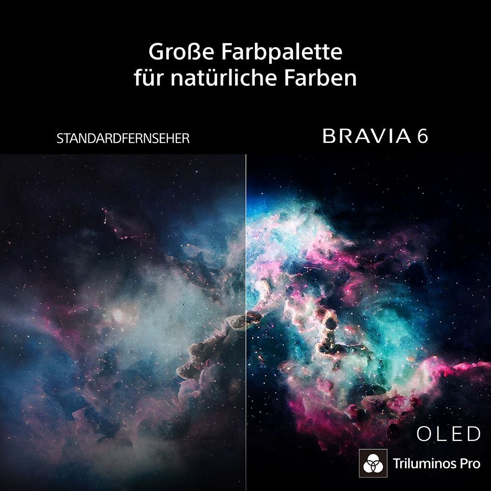 BRAVIA 6 K-48A69PB - HiFi-Profis Darmstadt