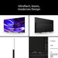 BRAVIA 6 K-48A69PB - HiFi-Profis Darmstadt