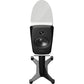 Dynaudio Confidence 20A /Stück - HiFi-Profis Darmstadt