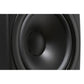 Dynaudio Confidence 20A /Stück - HiFi-Profis Darmstadt