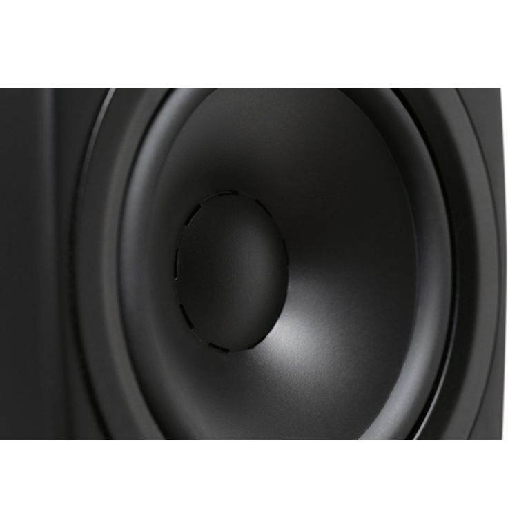 Dynaudio Confidence 20A /Stück - HiFi-Profis Darmstadt