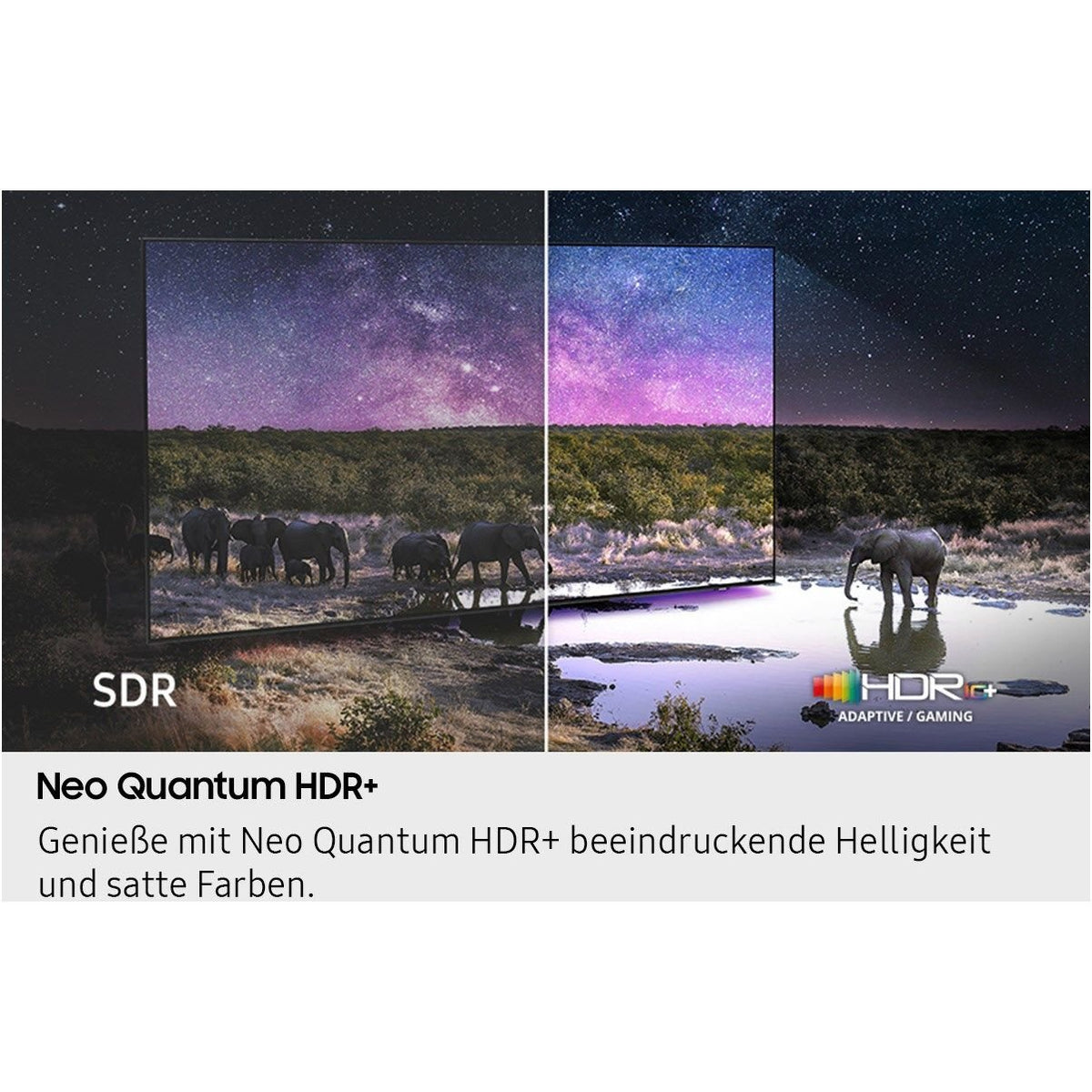 GQ55QN93FAT - HiFi-Profis Darmstadt