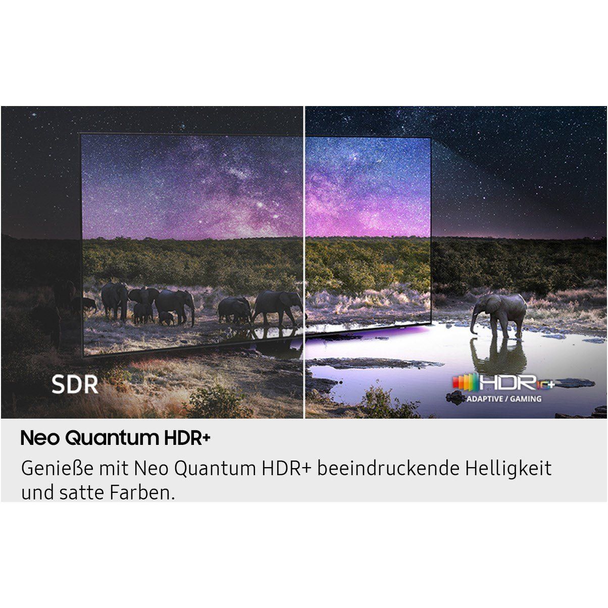 GQ65QN93FAT - HiFi - Profis Darmstadt