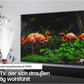 GQ75LST7DAT The Terrace (2025) - HiFi - Profis Darmstadt