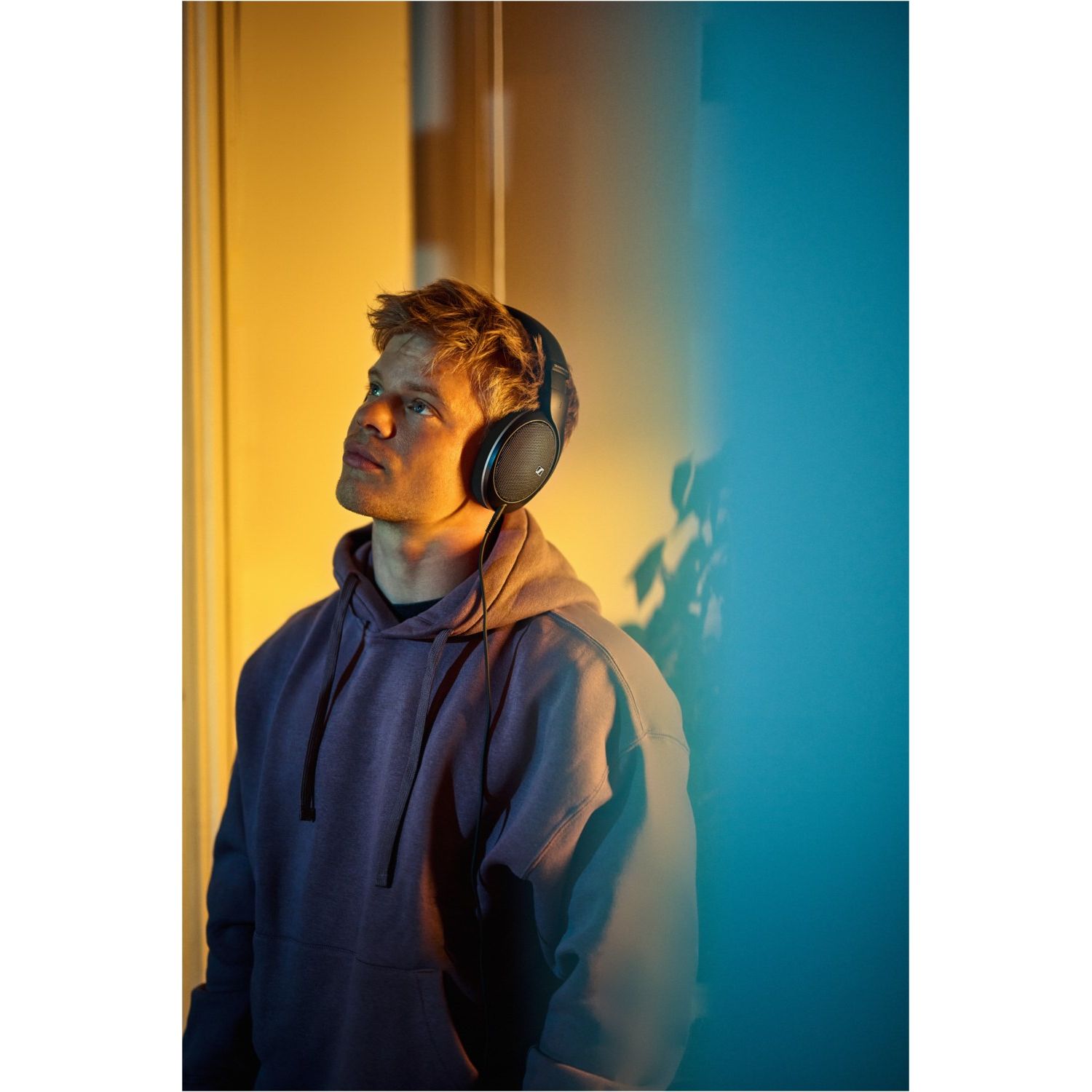 HD 550 - HiFi - Profis Darmstadt