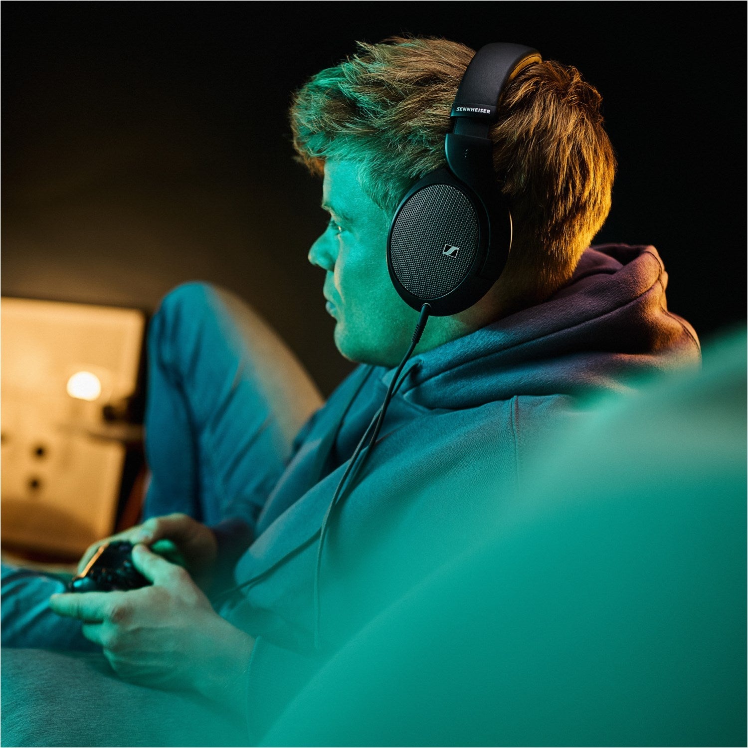 HD 550 - HiFi - Profis Darmstadt