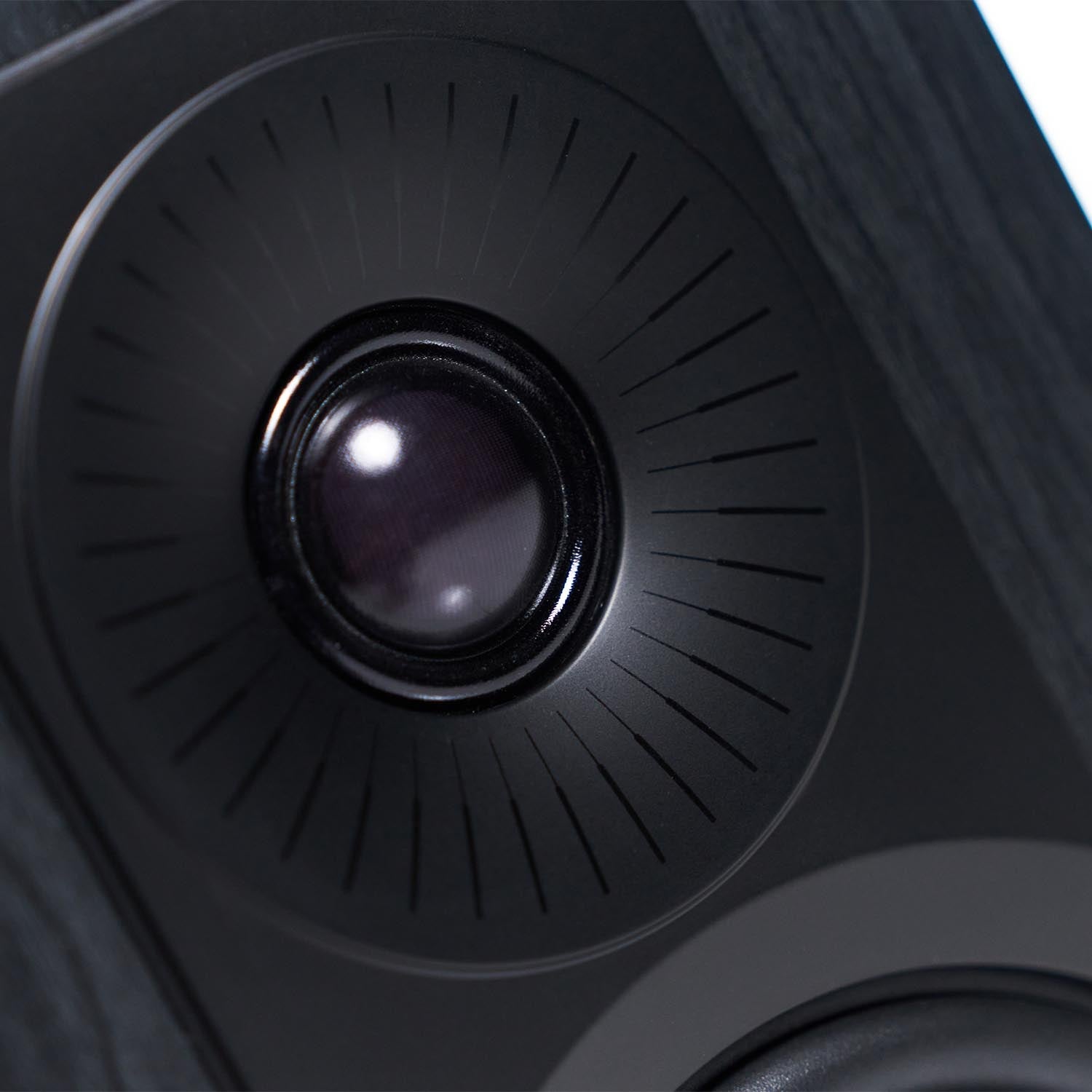 Kupid /Stück - HiFi - Profis Darmstadt