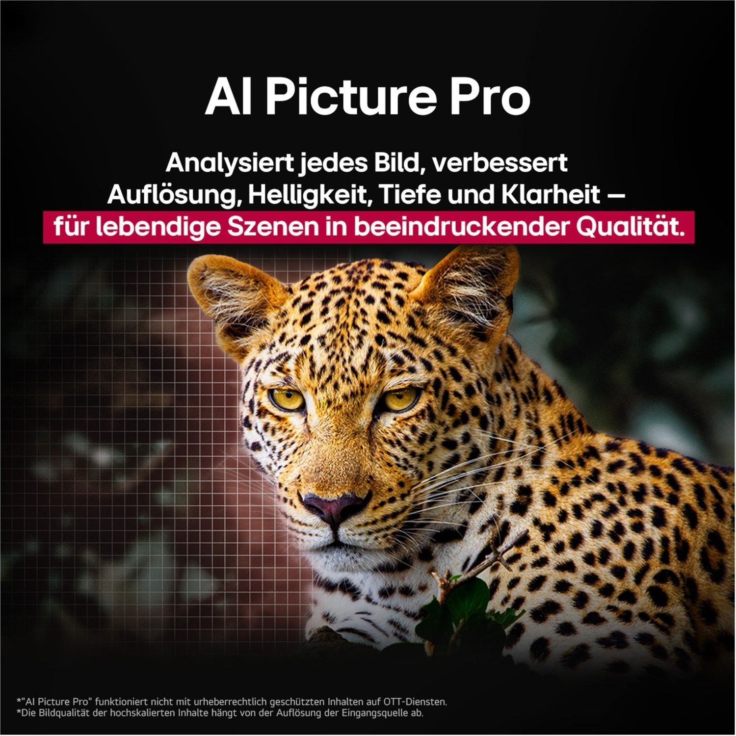 OLED48G59LS - HiFi - Profis Darmstadt