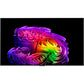 OLED55G68LW - HiFi - Profis Darmstadt