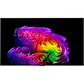 OLED55G68LW - HiFi - Profis Darmstadt