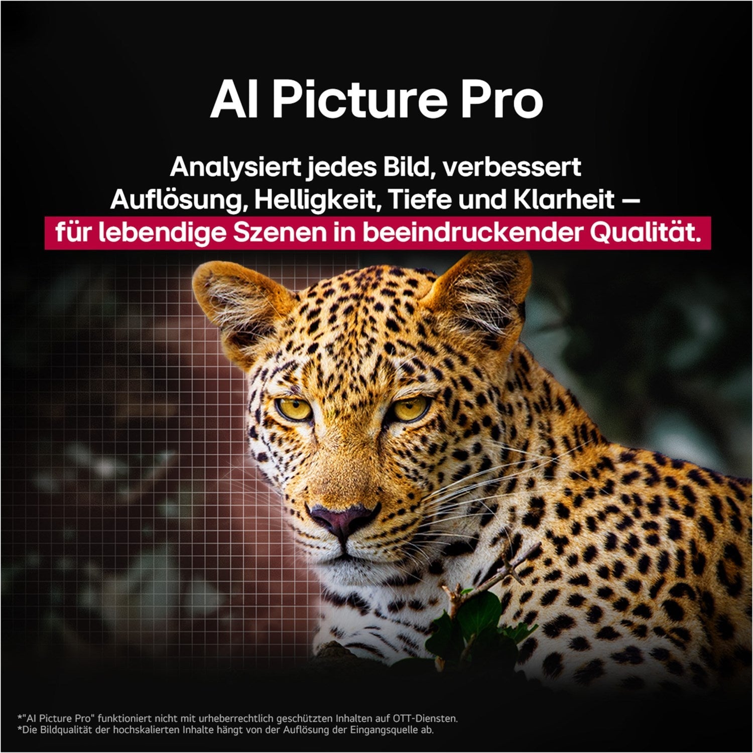 OLED65C58LA - HiFi - Profis Darmstadt
