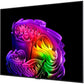 OLED65G68LW - HiFi - Profis Darmstadt