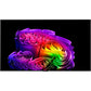 OLED65G68LW - HiFi - Profis Darmstadt