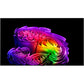 OLED83G68LW - HiFi - Profis Darmstadt