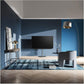 LOEWE bild v.65 DR+ - 65* - 164cm-OLED-TV >=70''-Loewe-Basalt Grau-HiFi-Profis Darmstadt