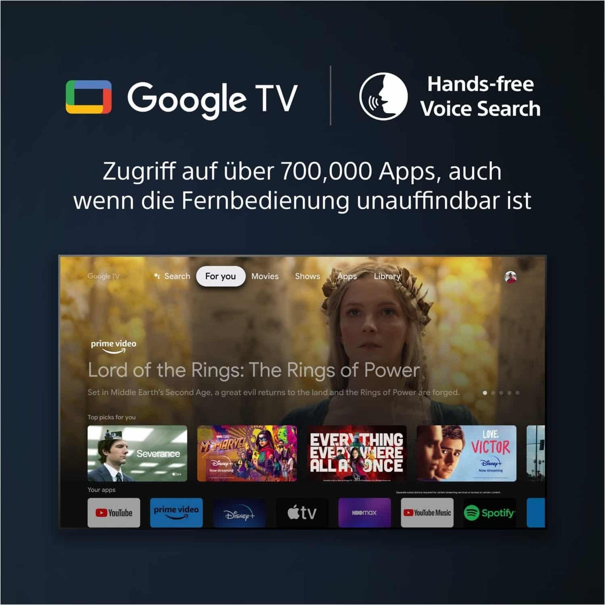 Sony XR85X95L - 85' -215cm-LED/ LCD-TV >=81''-Sony-titan-HiFi-Profis Darmstadt
