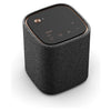 TrueX Speaker 1A - Grau